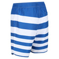 Lapis Blue - Close up - Regatta Mens Hamza Striped Swim Shorts