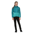 Enamel-Turquoise - Back - Regatta Childrens-Kids Highton Full Zip Fleece Jacket