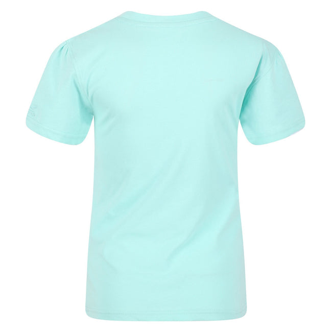 Aruba Blue - Back - Regatta Childrens-Kids Bosley V Sunset T-Shirt