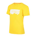Maize Yellow - Back - Regatta Childrens-Kids Sunset T-Shirt