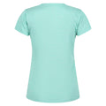 Ocean Wave - Pack Shot - Regatta Womens-Ladies Fingal Edition Marl T-Shirt