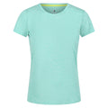 Ocean Wave - Front - Regatta Womens-Ladies Fingal Edition Marl T-Shirt
