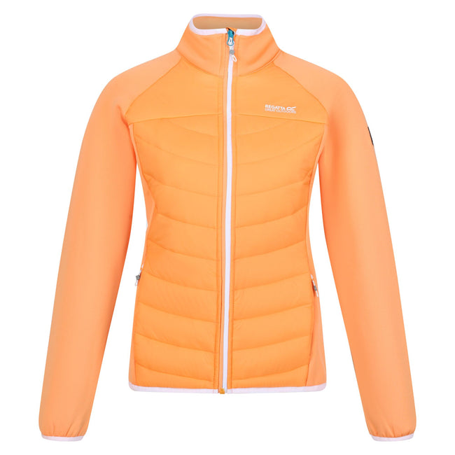 Papaya - Front - Regatta Womens-Ladies Clumber II Hybrid Insulated Jacket