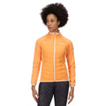 Papaya - Side - Regatta Womens-Ladies Clumber II Hybrid Insulated Jacket