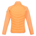 Papaya - Pack Shot - Regatta Womens-Ladies Clumber II Hybrid Insulated Jacket