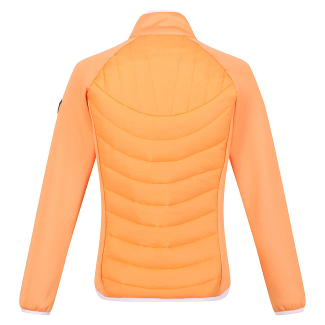 Papaya - Pack Shot - Regatta Womens-Ladies Clumber II Hybrid Insulated Jacket