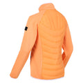 Papaya - Close up - Regatta Womens-Ladies Clumber II Hybrid Insulated Jacket