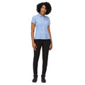 Sonic Blue - Lifestyle - Regatta Womens-Ladies Mindano VI Ditsy Print Shirt