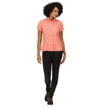 Fusion Coral - Lifestyle - Regatta Womens-Ladies Mindano VI Ditsy Print Shirt