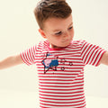 True Red-White - Back - Regatta Childrens-Kids Peppa Pig Stars T-Shirt