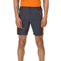 India Grey-Fox - Front - Regatta Mens Highton Pro Shorts