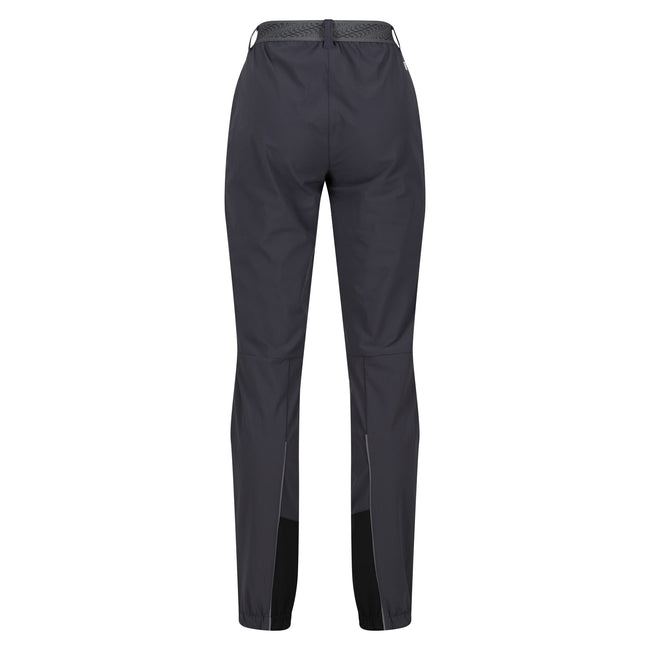 Seal Grey - Back - Regatta Womens-Ladies Mountain III Hiking Trousers