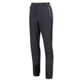 Seal Grey - Side - Regatta Womens-Ladies Mountain III Hiking Trousers