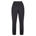 Ash-Black - Front - Regatta Womens-Ladies Mountain III Hiking Trousers