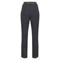 Seal Grey - Back - Regatta Womens-Ladies Mountain Zip-Off Trousers