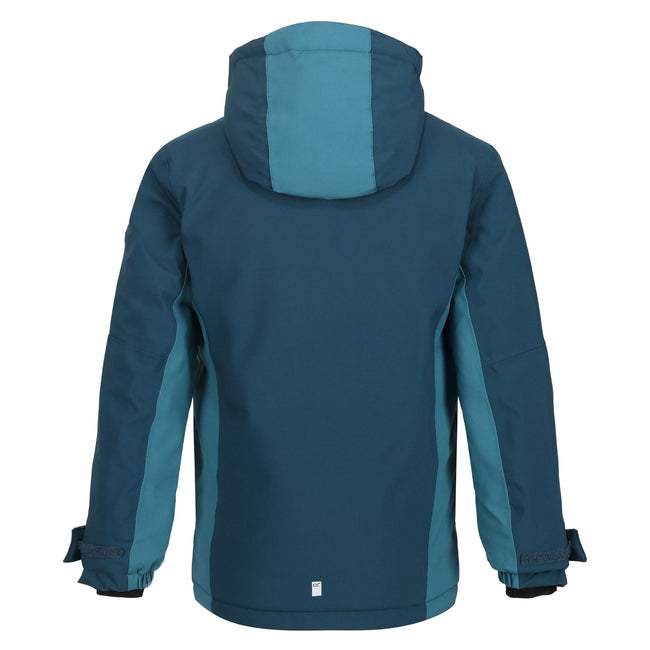 Reflecting Lake-Dragonfly - Back - Regatta Childrens-Kids Highton III Padded Jacket