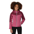 Violet-Amaranth Haze - Lifestyle - Regatta Childrens-Kids Eastcott II Soft Shell Jacket