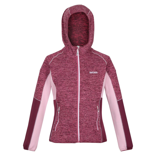 Violet-Amaranth Haze - Front - Regatta Womens-Ladies Walbury IV Lightweight Fleece Jacket