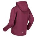 Amaranth Haze - Lifestyle - Regatta Childrens-Kids Dream Believe Achieve Extol Stretch Hoodie