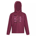 Amaranth Haze - Front - Regatta Childrens-Kids Dream Believe Achieve Extol Stretch Hoodie