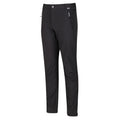 Ash - Side - Regatta Great Outdoors Mens Adventure Tech Geo II Wind Resistant Long Leg Softshell Trousers