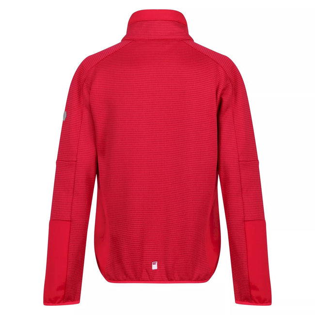 Berry Pink-Pink Potion - Back - Regatta Childrens-Kids Highton III Full Zip Fleece Jacket