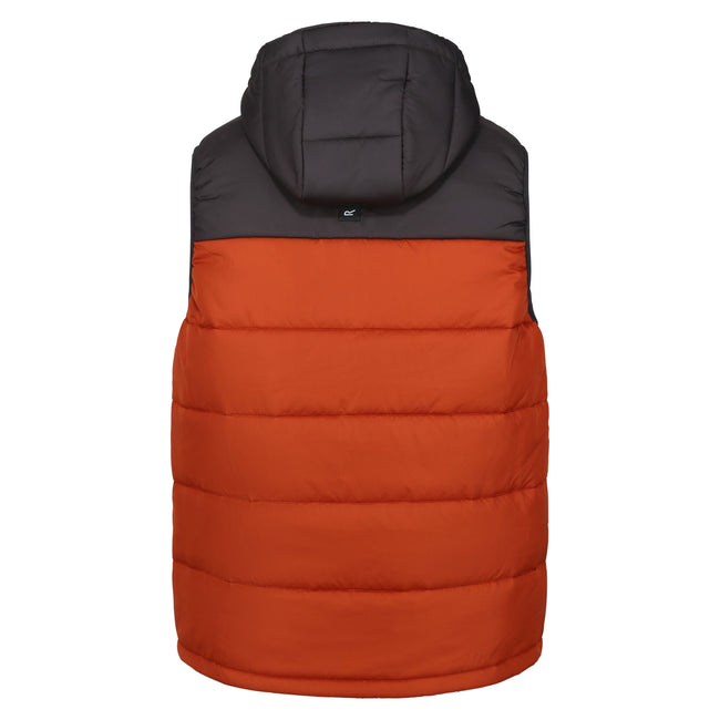 Ash-Burnt Copper - Back - Regatta Mens Nevado Heavyweight Sleeveless Body Warmer