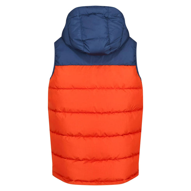 Admiral Blue-Rusty Orange - Back - Regatta Mens Nevado Heavyweight Sleeveless Body Warmer