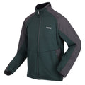 Green Gables-Dark Grey - Side - Regatta Mens Highton III Full Zip Fleece Jacket