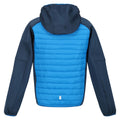 Indigo Blue-Blue Wing - Back - Regatta Childrens-Kids Kielder Hybrid VI Jacket