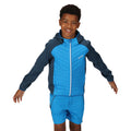 Indigo Blue-Blue Wing - Lifestyle - Regatta Childrens-Kids Kielder Hybrid VI Jacket