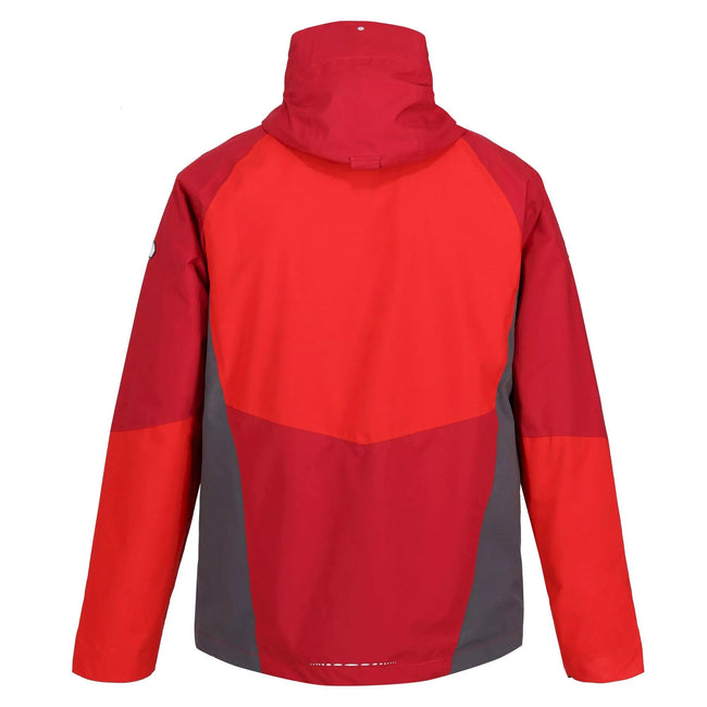 Dark Red-Chinese Red - Back - Regatta Mens Sacramento VIII Waterproof Jacket