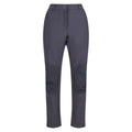 Seal Grey - Front - Regatta Womens-Ladies Questra IV Stretch Hiking Trousers