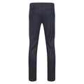 India Grey - Back - Regatta Mens Sandros Chinos