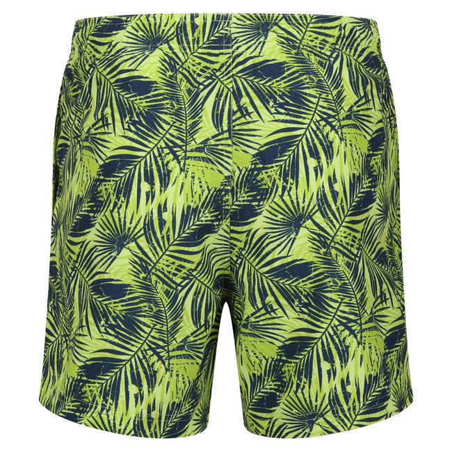 Sharp Green - Back - Regatta Mens Loras Palm Print Swim Shorts