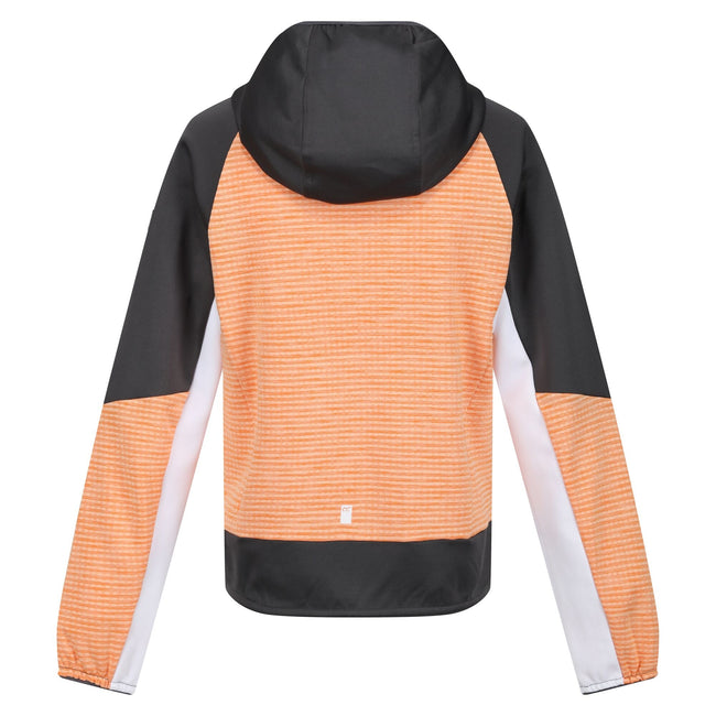 Apricot Crush-Seal Grey - Back - Regatta Childrens-Kids Prenton II Hooded Soft Shell Jacket