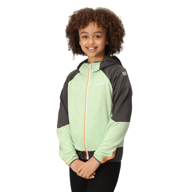 Quiet Green-Seal Grey - Pack Shot - Regatta Childrens-Kids Prenton II Hooded Soft Shell Jacket