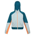 Sea Haze-Gulfstream - Front - Regatta Childrens-Kids Prenton II Hooded Soft Shell Jacket