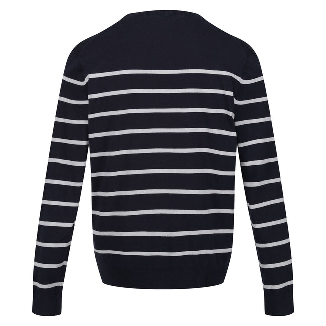 Navy-Silver Grey - Back - Regatta Mens Cautley Striped Knitted Jumper