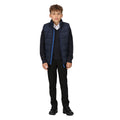 Navy-New Royal - Pack Shot - Regatta Professional Childrens-Kids Thermal Body Warmer