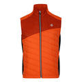 Puffins Orange-Rooibos Tea - Front - Dare 2B Mens Touring Quilted Lightweight Gilet