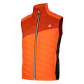 Puffins Orange-Rooibos Tea - Side - Dare 2B Mens Touring Quilted Lightweight Gilet