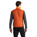Puffins Orange-Rooibos Tea - Pack Shot - Dare 2B Mens Touring Quilted Lightweight Gilet