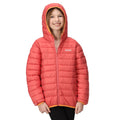 Mineral Red-Burgundy - Lifestyle - Regatta Childrens-Kids Marizion Hooded Padded Jacket