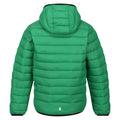 Field Green-Jasmine Green - Back - Regatta Childrens-Kids Marizion Hooded Padded Jacket