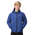 New Royal-Strong Blue - Lifestyle - Regatta Childrens-Kids Marizion Hooded Padded Jacket