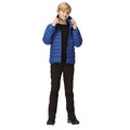 New Royal-Strong Blue - Close up - Regatta Childrens-Kids Marizion Hooded Padded Jacket
