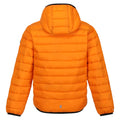Orange Pepper-Burnt Copper - Back - Regatta Childrens-Kids Marizion Hooded Padded Jacket