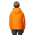 Orange Pepper-Burnt Copper - Pack Shot - Regatta Childrens-Kids Marizion Hooded Padded Jacket