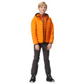 Orange Pepper-Burnt Copper - Close up - Regatta Childrens-Kids Marizion Hooded Padded Jacket